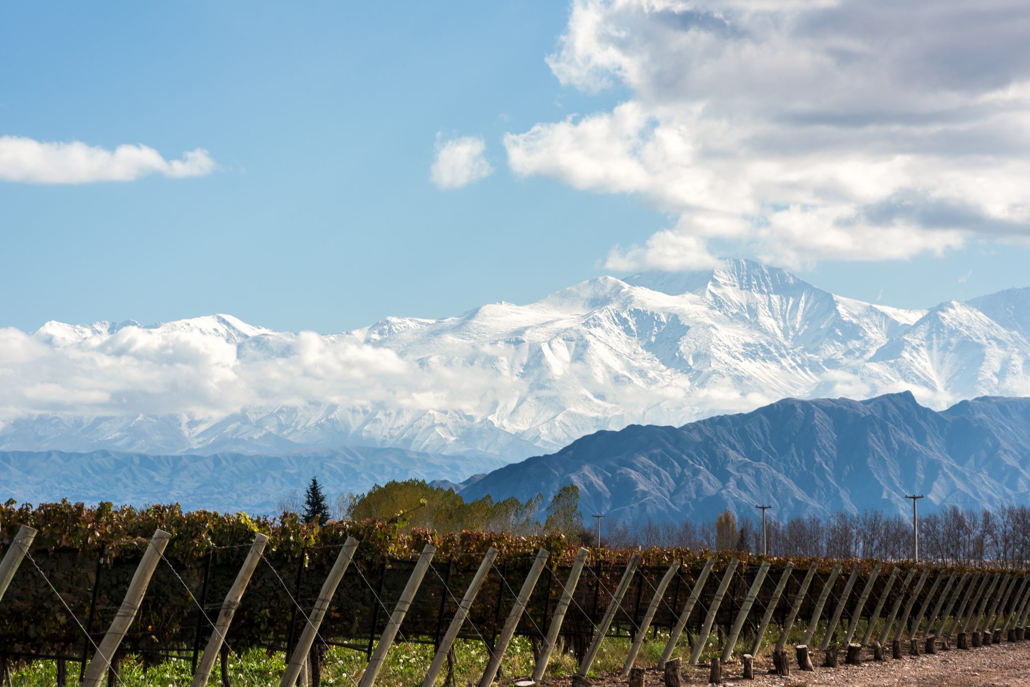 Pictured is a vineyard and the volcano Aconcagua Cordillera, part of the Andes mountain range, in the Argentine province of Mendoza.  Brazil-based travel company CVC Corp. closed a $77 million acquisition of Buenos Aires-based Almundo in November 2019.