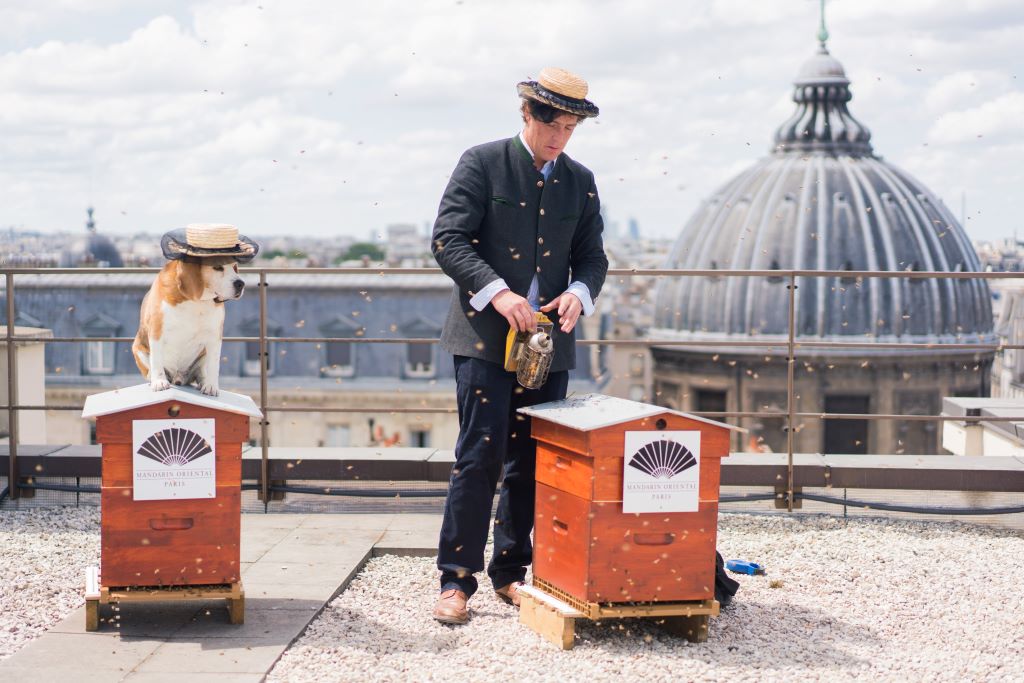 Audric de Campeau takes care of bee hives on the rooftops of about 300 buildings in Versailles and Paris. The beekeeper tends to two hives on the rooftop of the Mandarin Oriental, Paris. 