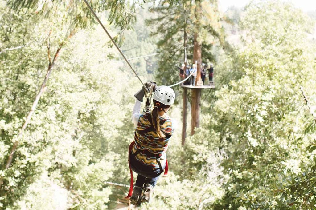 An image of a zip-line "forest flight" tour across Redwood trees run by Sonoma Canopy Tour, an operator that uses Xola as an online booking service. Smaller tour operators and hotels have lacked the tools to grow the direct share of their online bookings, but tech vendors like Xola aim to fill the gap.