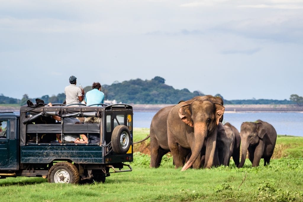 Sri Lanka is a biodiversity hotspot with an abundance of ecosystems and many endemic species, including the highest density of wild Asian elephants worldwide. Nearly a year after a series of terrorist attacks in the capital city Colombo, the country’s tourism industry is reestablishing itself as a desired destination.