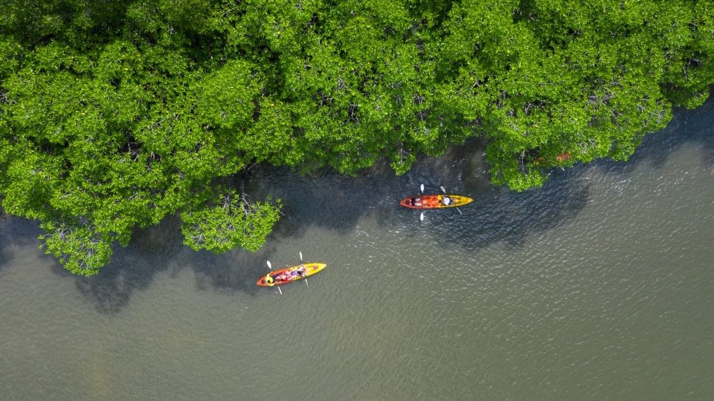 Sea kayaking through the mangrove forests of Ao Thalane, a fishing village in Krabi, Thailand.