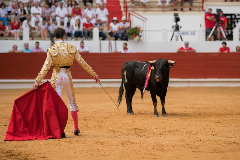 The lockdown brought Spain's bullfighting sector to a standstill as the country scrambled to control one of the world’s deadliest coronavirus outbreaks.