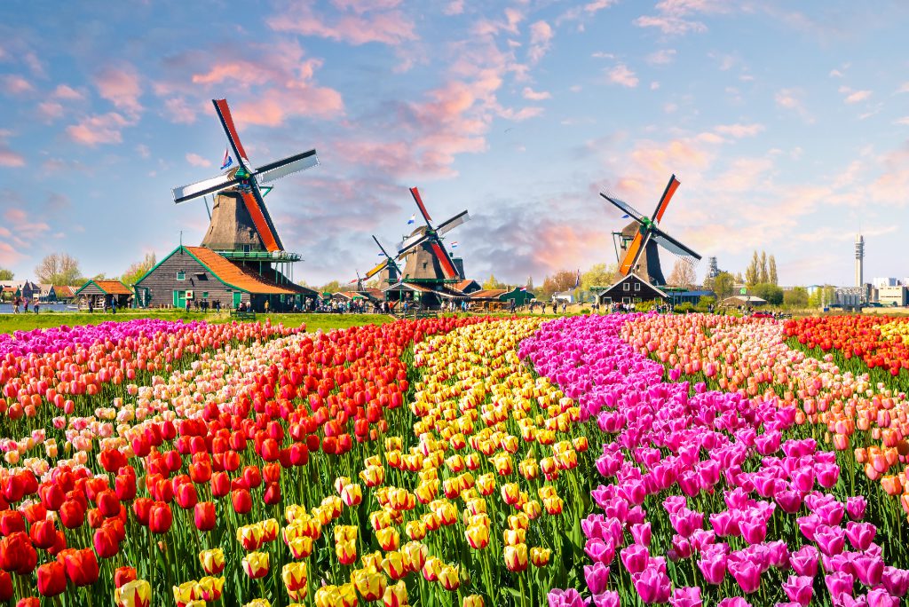 Zaanse Schans is a neighborhood of Zaandam, near Zaandijk, Netherlands. It's best known for its historic windmills and houses.