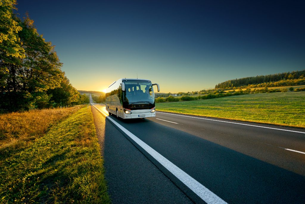 White bus traveling on the asphalt road around line of trees at sunset.