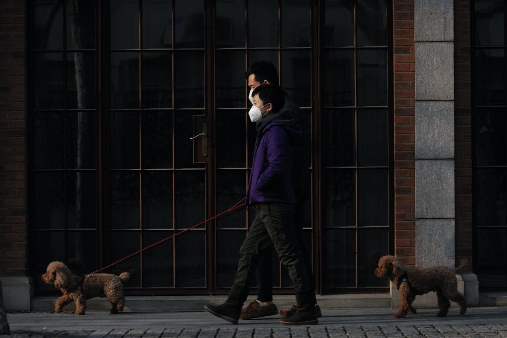 Pedestrians in masks walk dogs in Shanghai, China. The country is accelerating its vaccine program while maintaining strict rules on movement around and into the country.
