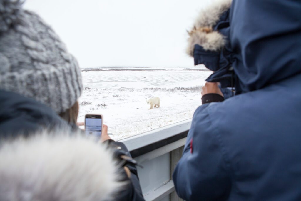 A polar bear tour conducted by Frontiers North Adventures.