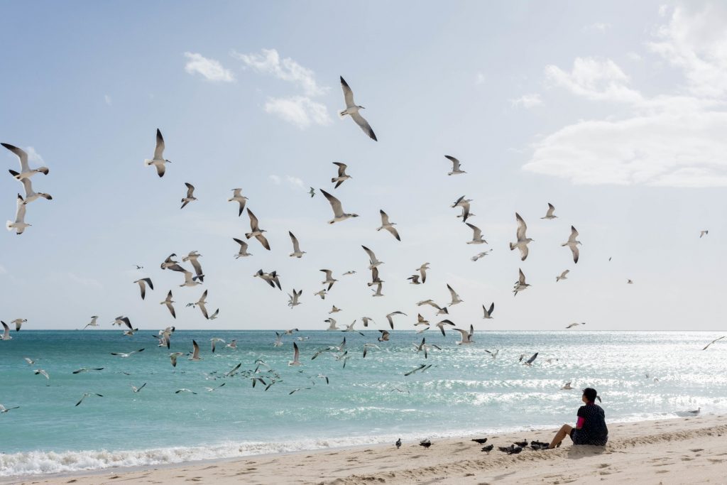 woman sitting on beach alone in Miami facing sea and birds overhead