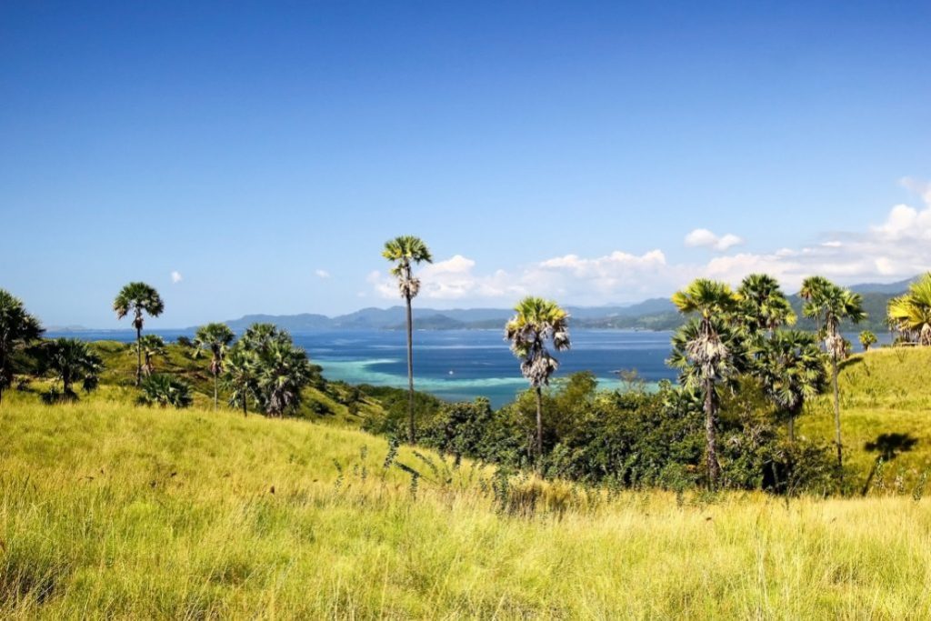 Tiket2.com A landscape of Flores island near Komodo Indonesia source tiket2 via flickr creative commons