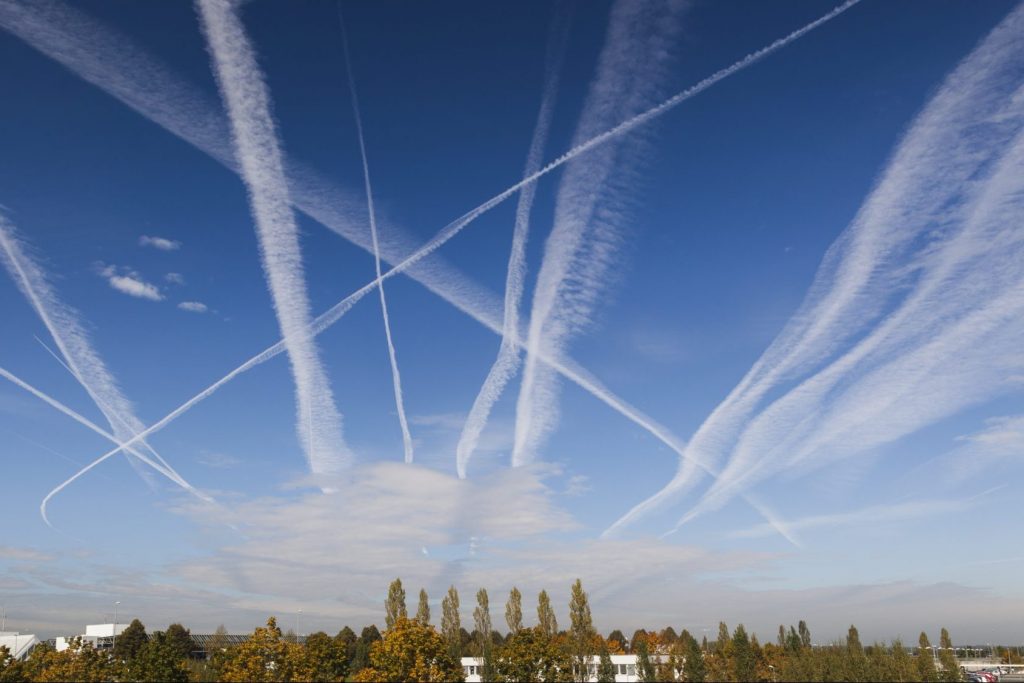 Jet contrails above a forest