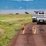 Kenya’s Tourism Recovery Boosted by Local Travelers