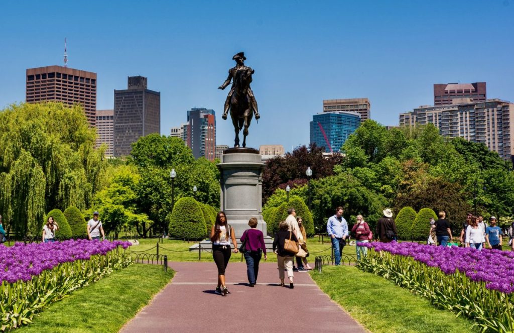 Boston public gardens