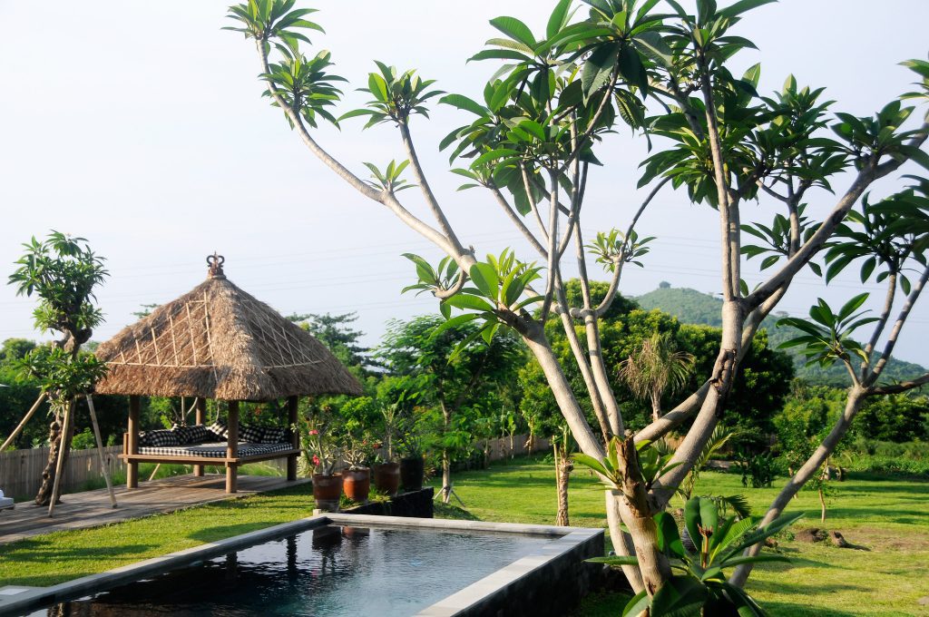 Expedia Group became even more of a lodging-oriented company in 2021. Pictured is a garden pool at Jeda Villa in Bali in 2011. A garden pool at Jeda Villa in Bali in 2011. Selamat Made Flickr https://skift.com/wp-content/uploads/2022/02/Jedda-villa-bali.jpg