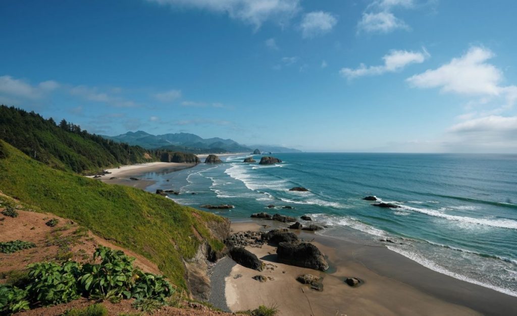 oregon coastline view