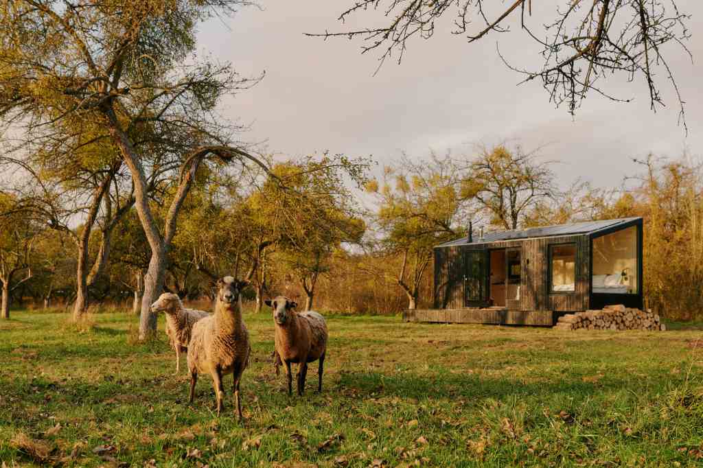 A Raus cabin