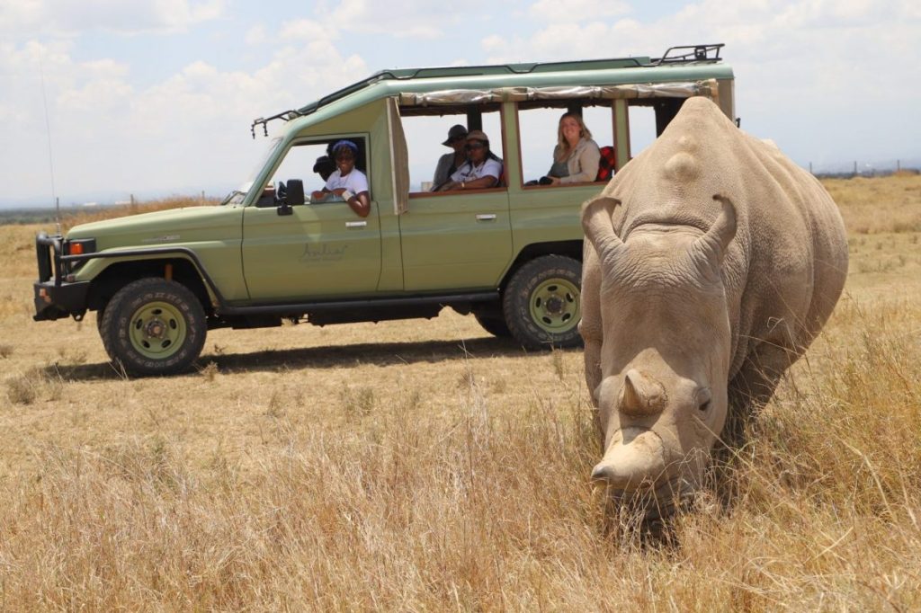 Electric safari vehicle belonging to the Asilia Ol Pejeta Bush Camp in Kenya.