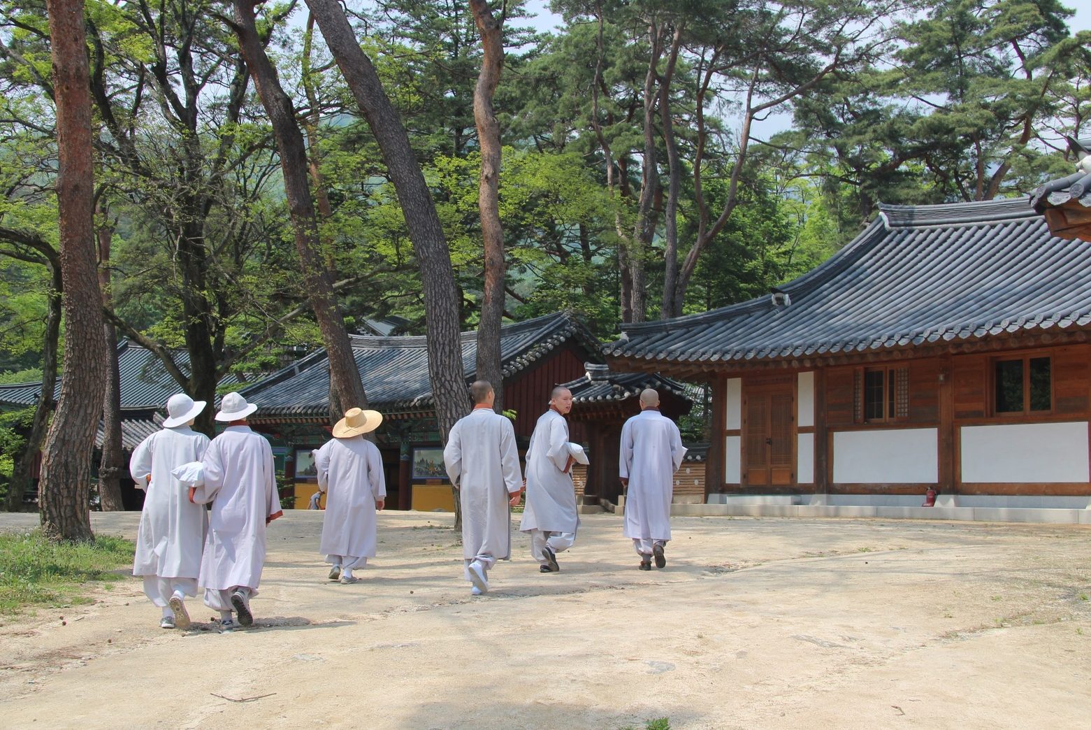 Temple stays in South Korea has attracted large numbers of local and foreign guests. 