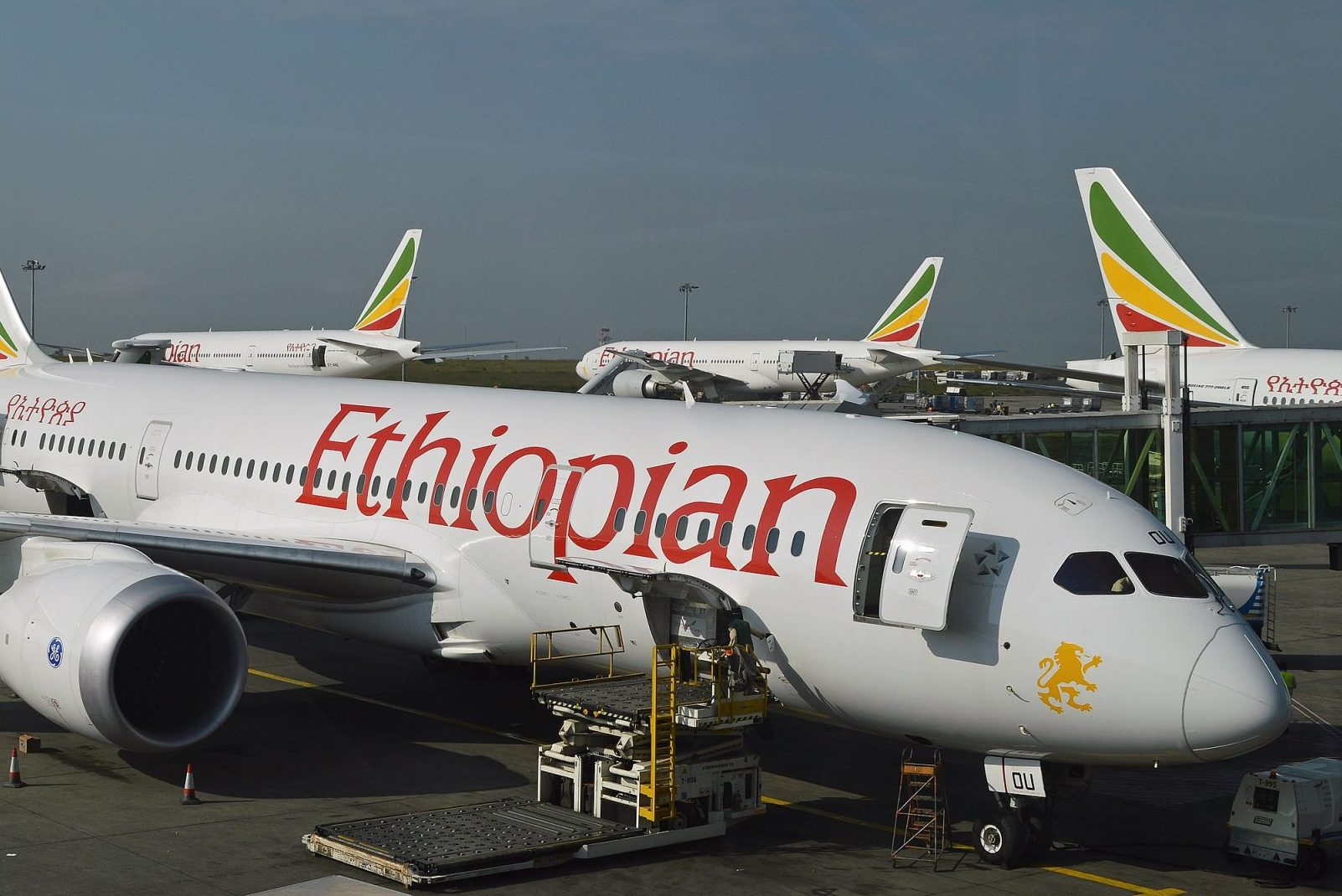 An Ethiopian Airlines consortium is the preferred bigger for a new Nigerian airline. 