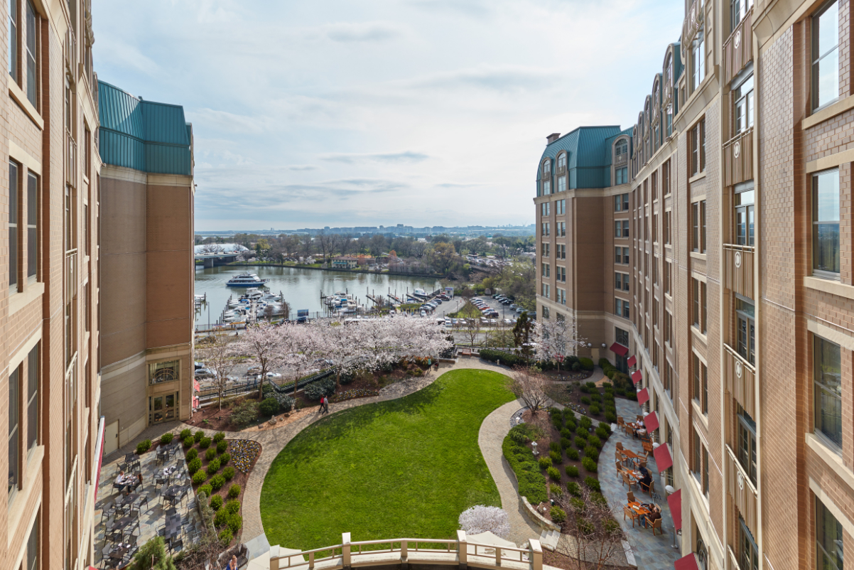 A view of Washington, D.C.'s famous cherry blossoms along its Tidal Basin from Salamander DC, a luxury hotel. 