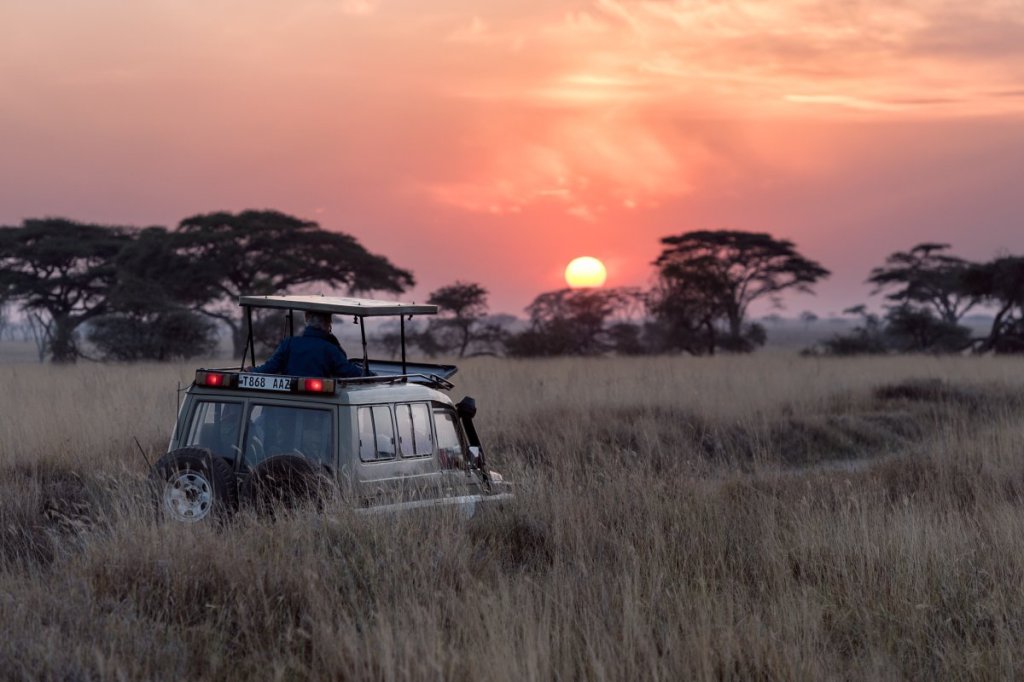 Sunrise in Serengeti, Tanzania