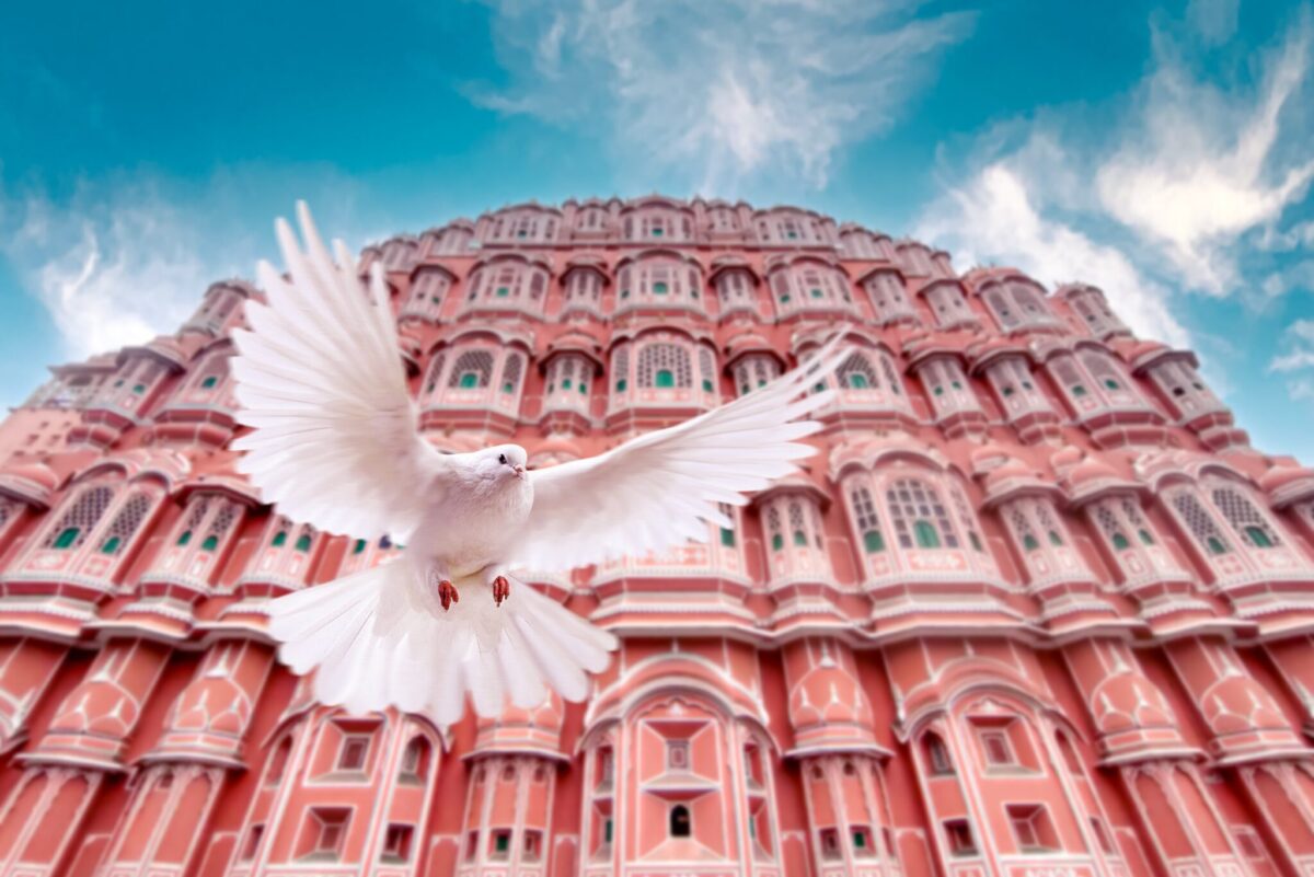 Jaipur is a popular destination for luxury properties. The Anantara Hotel and Waldorf Astoria are both launching in Jaipur. Source: Pexels/Shubham Verma