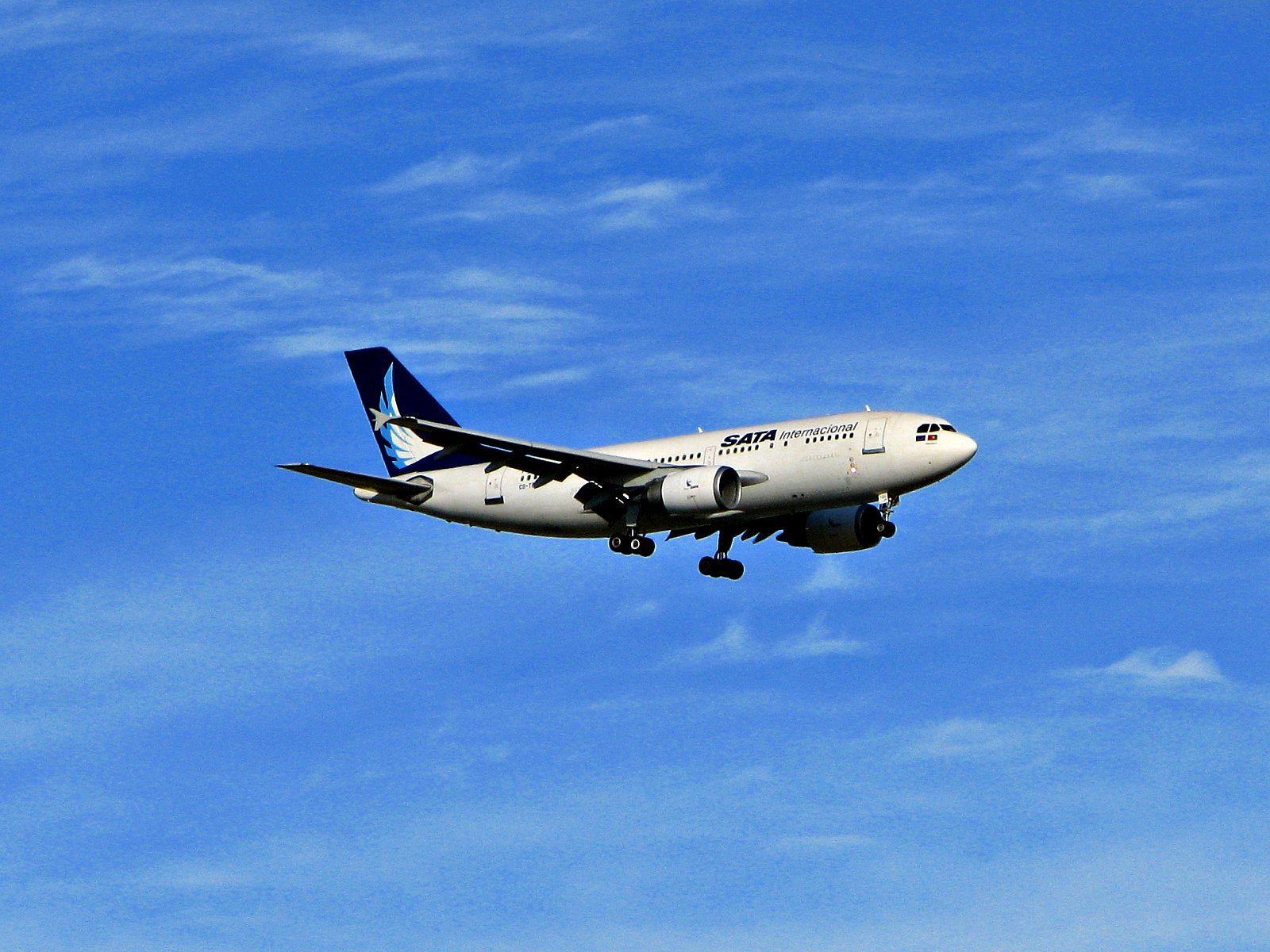 A Sata flight near Toronto in 2010. The airline is attracting interest from investors. Source: Flickr/Michael https://flickr.com/photos/msvg/4691702266/in/photolist-89AcCo-8ZXGeW-bMJLH-2mcgG6y-9ez9vR-cPkPYf-7KnMjs-2aWmPuk-a3TQHs-cPkQuw-GCrxXu-cPkPuY-21eeDo1-8P3eyy-qhqsVh-2mKTytu-dtMERC-584Azj-ZcefUA-21eeEcL-ZceeQb-Zcedkh-GkrZWX-21cdrZN-8P3bd3-91vQra-2mcmyaV-2mcgKx3-2mFJmbQ-8NYZvn-82bbiT