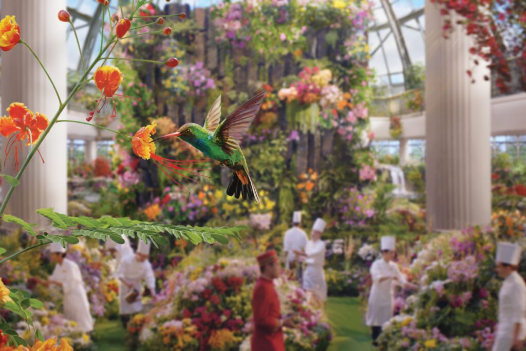 hummingbird in shangri-la hotel brand video 2023