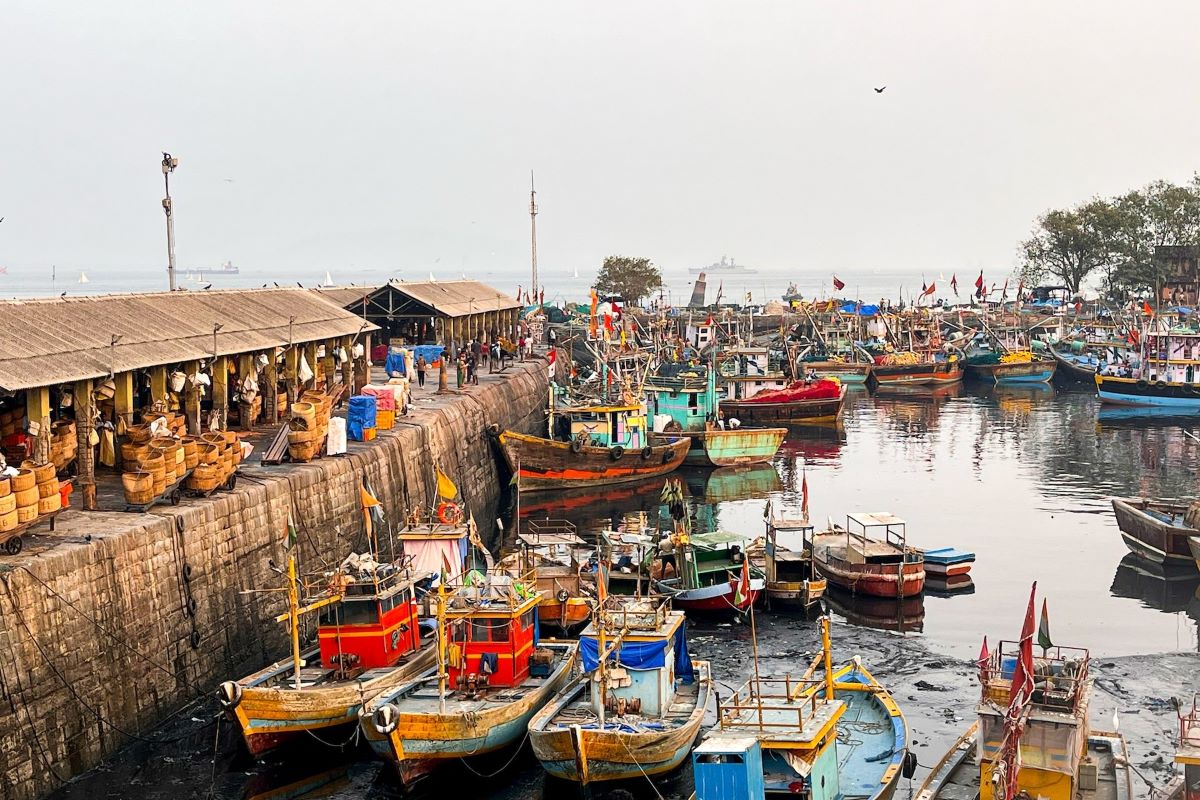 No Footprints launched operations with the ‘Mumbai by Dawn’ tour in 2014. Pictured is the Sassoon Dock in Mumbai.