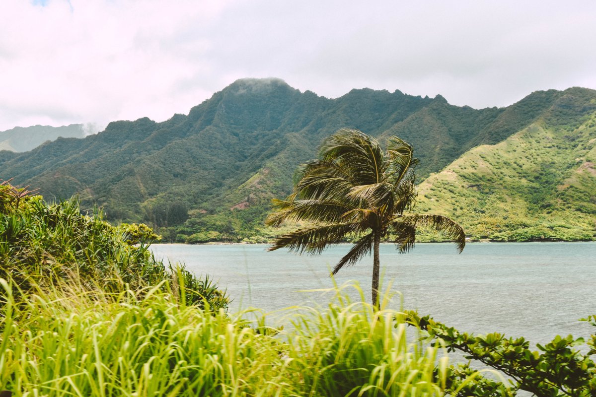 De helft van de hotelkamers in Maui staat leeg omdat het herstel van het toerisme niet snel zal zijn