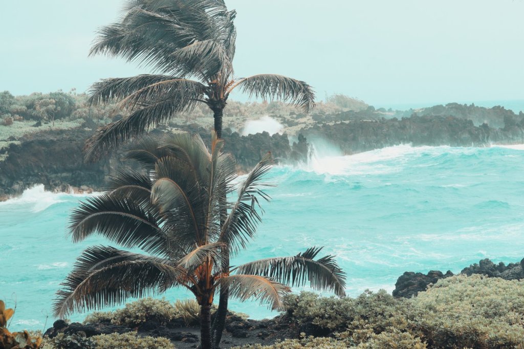 Black Sand Beach