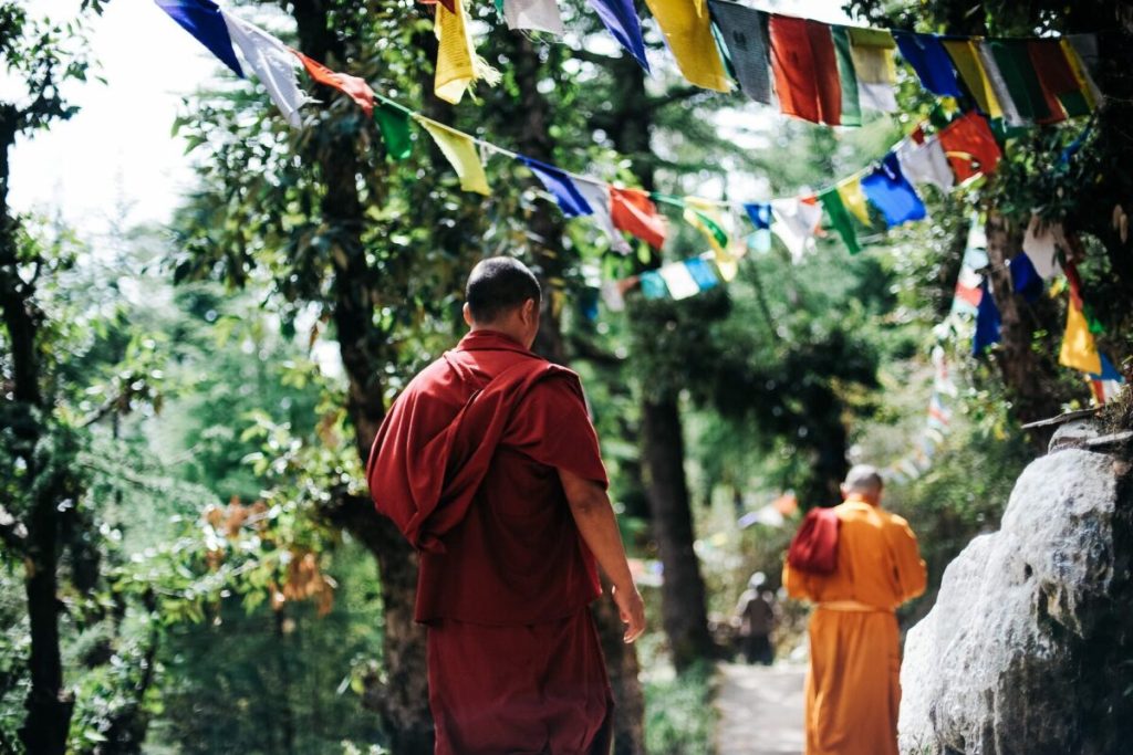 two monks walking between trees