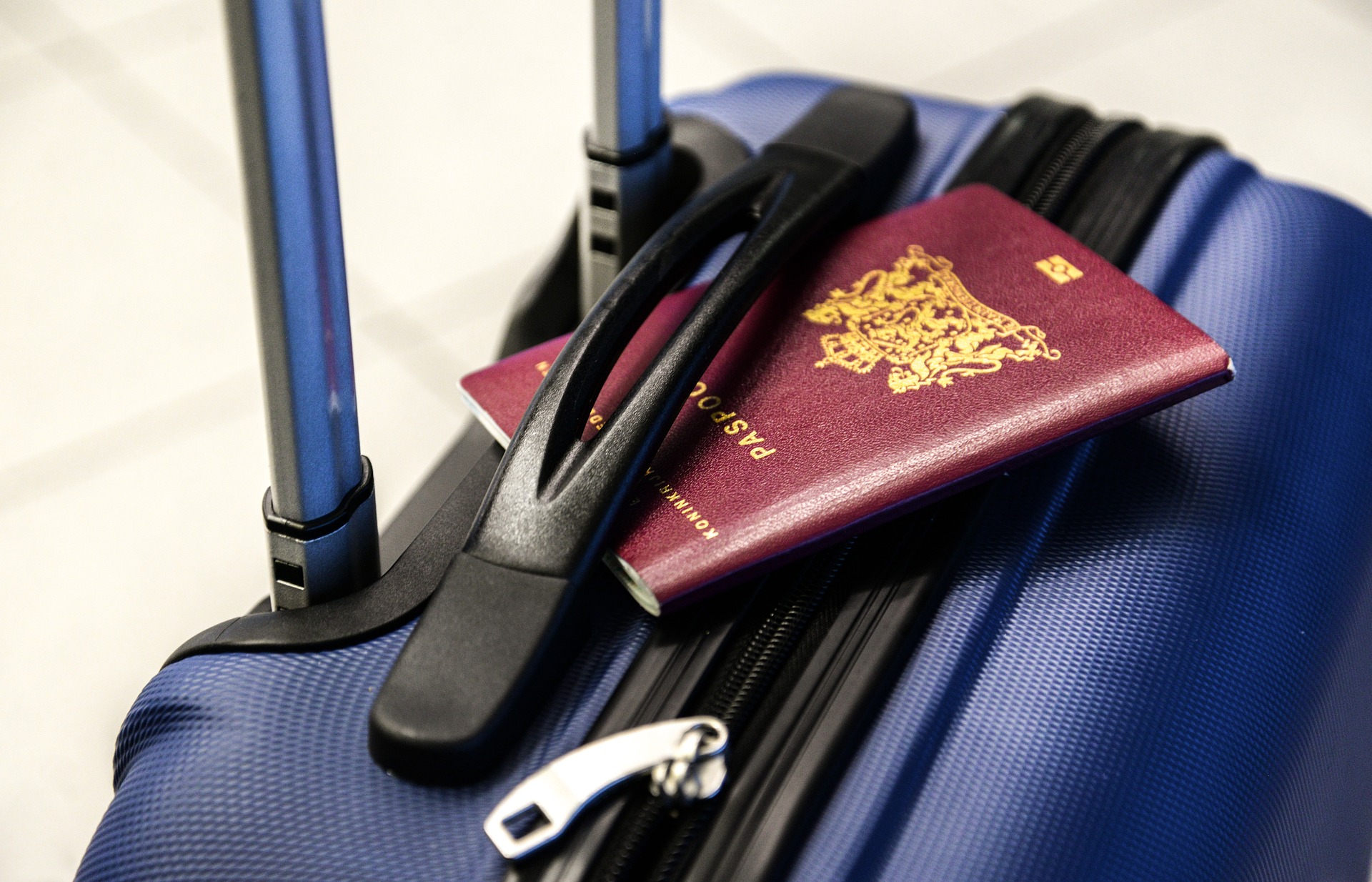 luggage passport