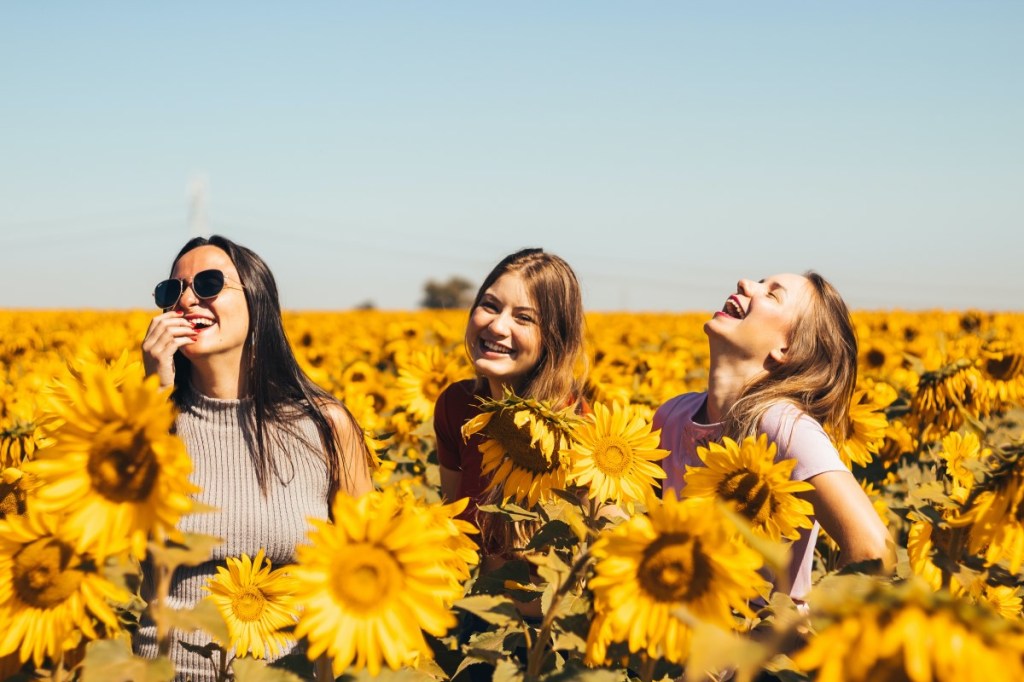 A young group of women travelers in a field of sunflowers.