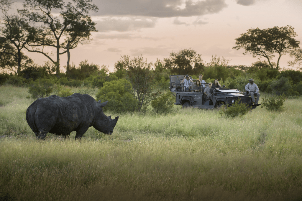 A group of travelers witness a rhino while on a Singita game drive in Southern Africa.