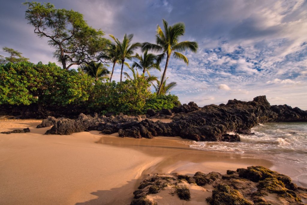 Maui Beach