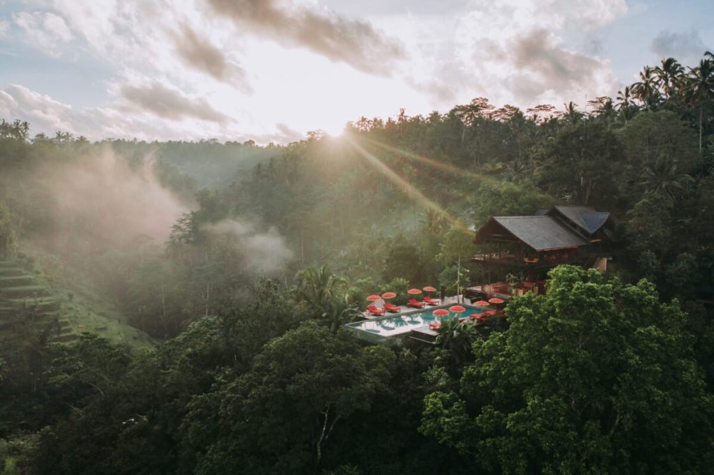 Buahan, Banyan Tree