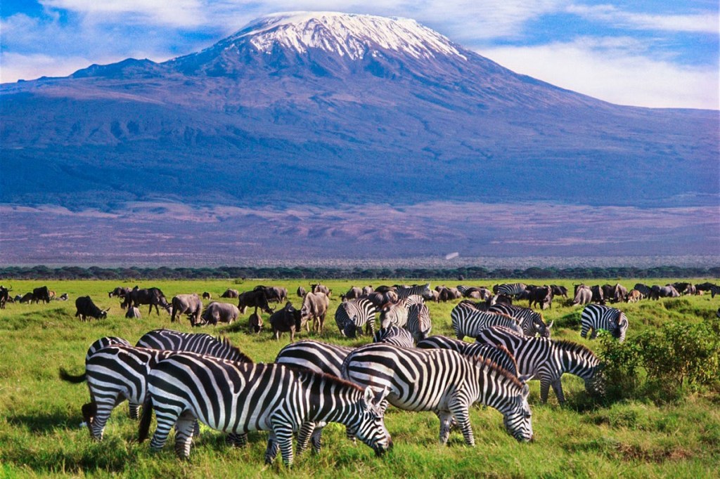 Kenya is actively working to increase tourism in the country.