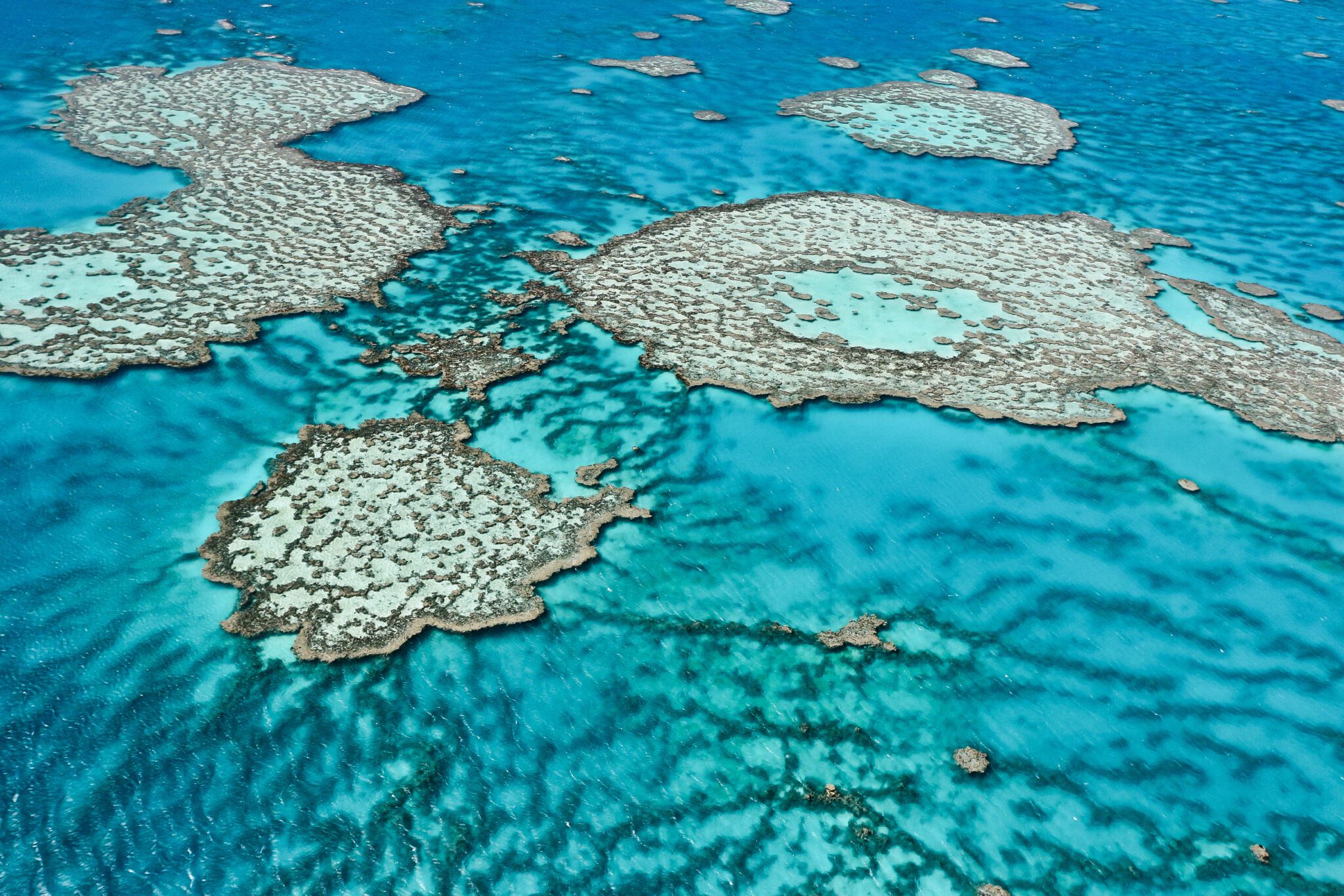 Great Barrier Reef off the coast of Queensland, Australia. 