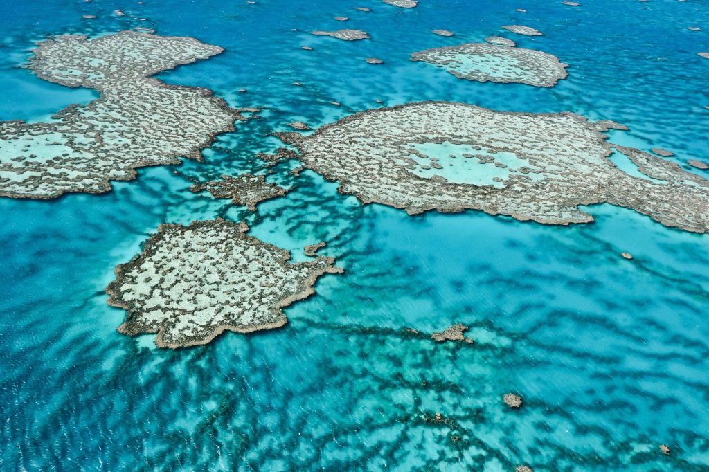 Aerial view of water and a reef