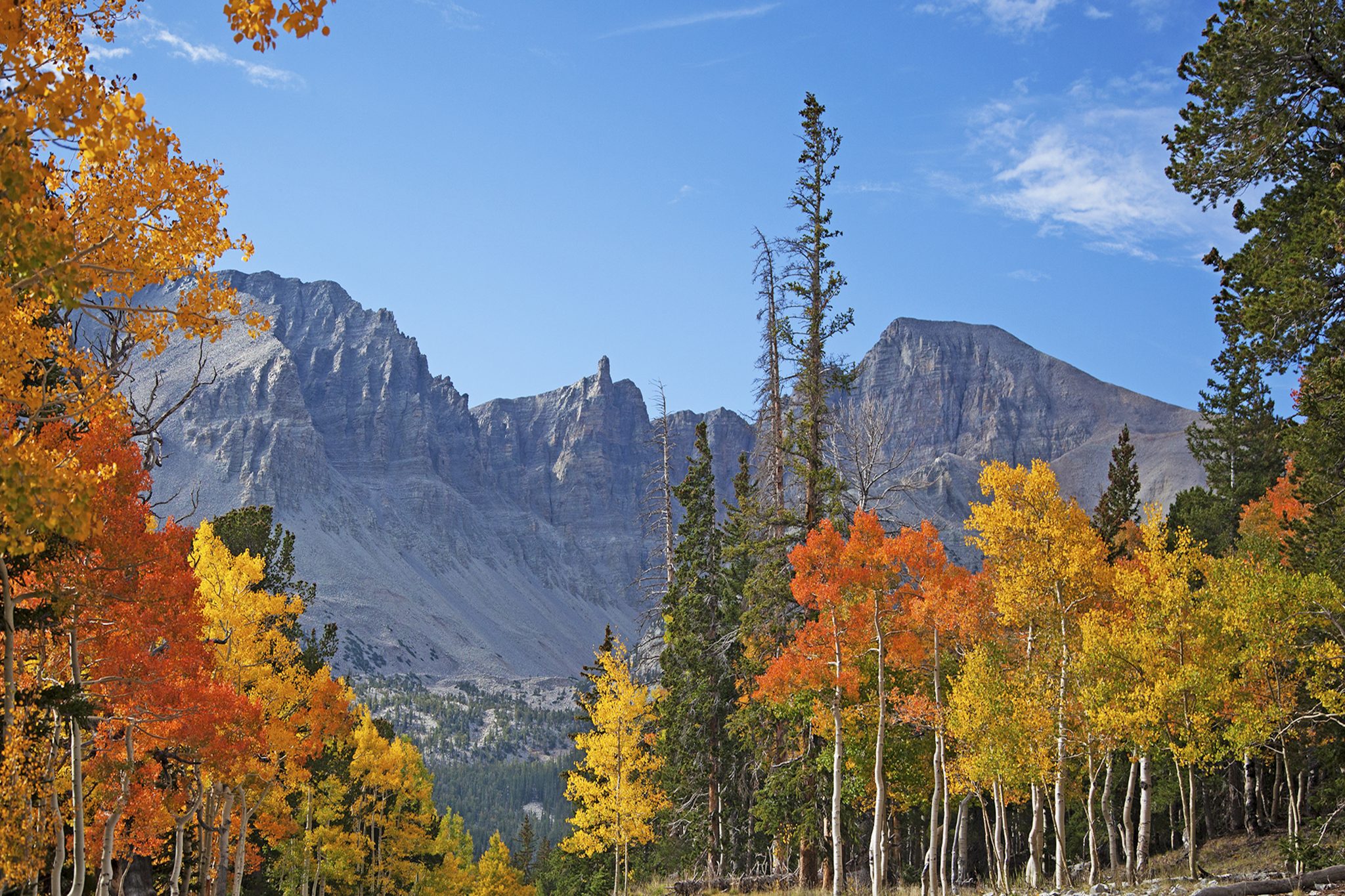 Great Basin National Park. Source: Travel Nevada