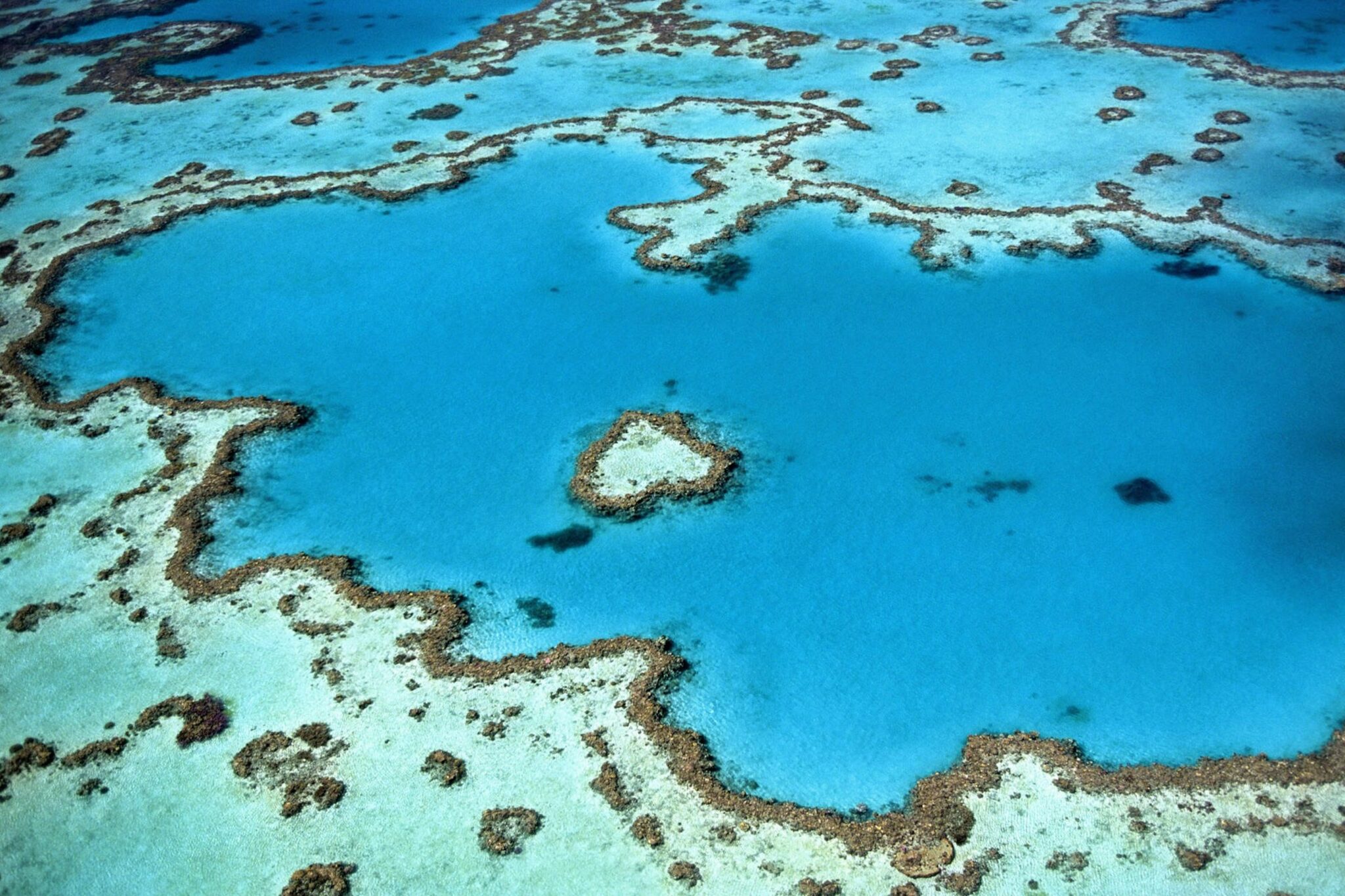 Part of the Great Barrier Reef from above. Credit: Yanguang Lan