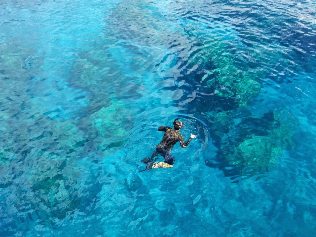 Person snorkeling in ocean