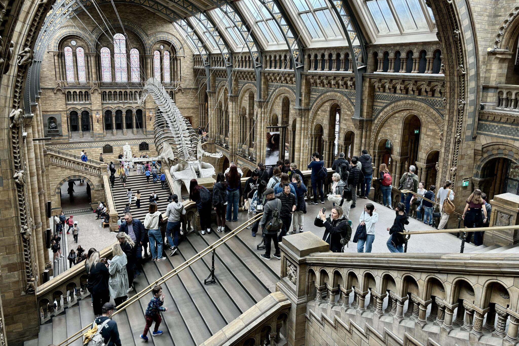 tourists taking pictures in a multi-story museum hall containing the skeleton of a whale