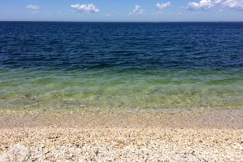 looking out at the water from the shoreline