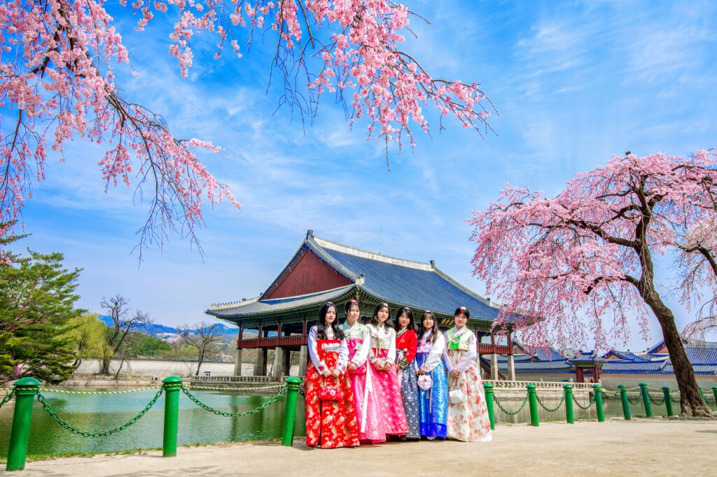 gyeongbokgung palace with cherry blossom spring tourists with hanbok dress