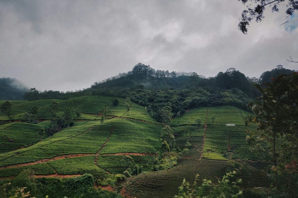 Nuwara Eliya, Sri Lanka