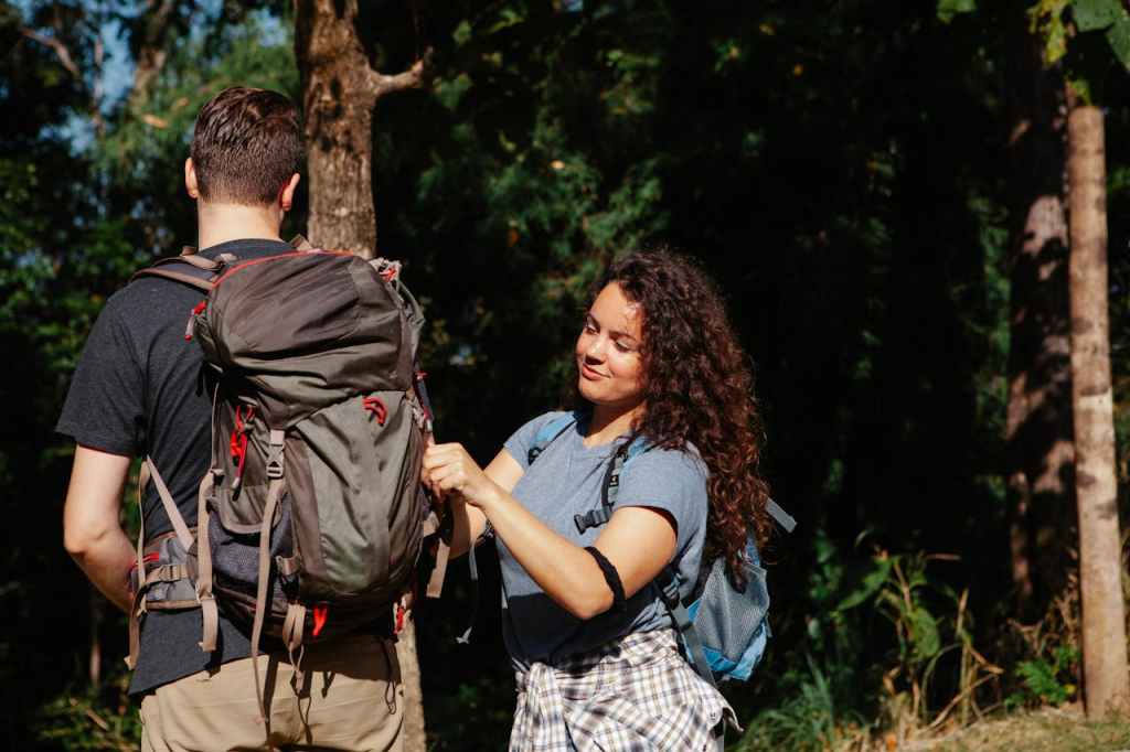 Travelers in the forests