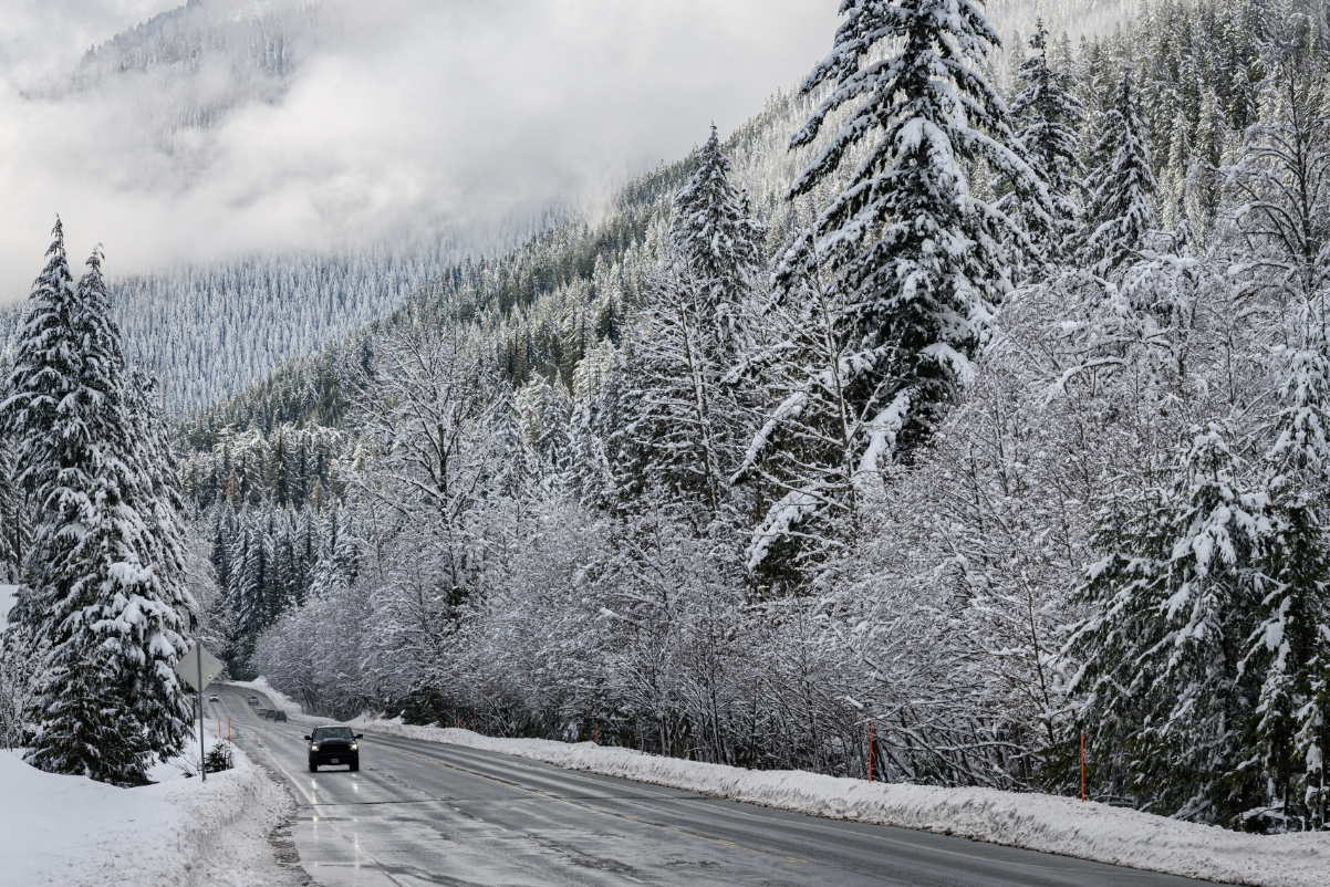 A car driving through a winter forest