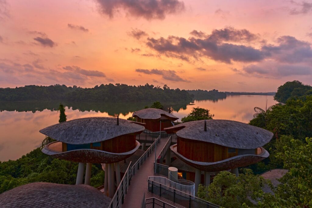 Mandai Rainforest Resort by Banyan Tree Singapore scaled e1736832289641